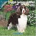 English Springer Spaniel (US) 2010 Wall Calendar #10111-10