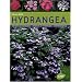 Hydrang�a : Portraits d'hydrang�as, �dition fran�ais-anglais-allemand