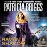 Raven's Shadow