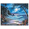 Paint by Number Kit - Moonlit Paradise (16x20")