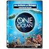 One Ocean