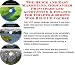 The Quick and Easy Marketing, Godfather Principles and Accounting & Finance for Toilets & Bidets Web
