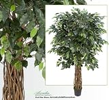 Pre-Potted 7.5 Inch Artificial Ficus Tree with Multiple Real Wood Trunks - 2520 leaves approx
