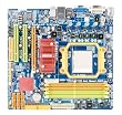 BIOSTAR AM3/AM2+/AM2 DDR2 AMD 785G Micro ATX AMD Motherboard TA785GE 128M