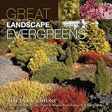Great Landscape Evergreens