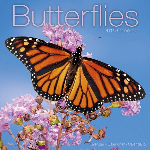 Butterflies Calendar - 2015 Wall calendars - Animal Calendar - Monthly Wall Calendar by Avonside