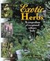 Exotic Herbs: A Compendium of Exceptional Culinary Herbs