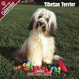 Eigenschaften Avonside Publishing Ltd.  / Kalender 2009 Tibet-Terrier - Tibetan Terrier
