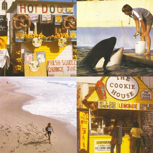 Best Coast Picture 3