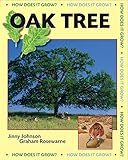 Oak tree