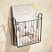 iDesign Classico Steel Wall Mount Magazine Holder - 10.5