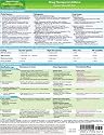 MemoCharts Pharmacology: Drug Therapy for Asthma (Review chart) (Paperback)