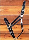 Hamilton Deluxe Extra-Large 1 Nylon Draft Horse Halter with Adjustable Chin and Snap