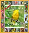 Audubon 365 Songbirds Calendar 2010 (Picture-A-Day Wall Calendars)