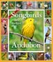 Audubon 365 Songbirds Calendar 2010 (Picture-A-Day Wall Calendars)