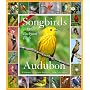 Audubon 365 Songbirds and Other Backyard Birds Calendar 2010 (Picture-A-Day Wall Calendars)