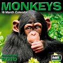 Square Calendar 2010 30cm X 30cm - Monkeys (MRXSQ101M)