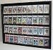 36 Graded Card Display Case with door, Holds Topps, Buckett, PSA Football, baseball, basketball, or Hockey sports cards (CC02-BL)