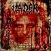 Blood von Vader - alle Infos