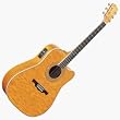 FD60AMB Acoustic Electric Guitar