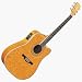 FD60AMB Acoustic Electric Guitar