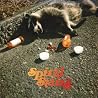 Image of album by Spiral Stairs