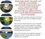 The Special Generate Extra Cash, Marketing and Inner Game for Paintball Helmets Businesses 3 CD Combo Pack