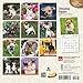 Chihuahua Puppies 2016 Calendar