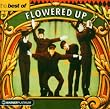 The Best Of Flowered Up