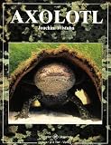 Produkt-Bild: Axolotl