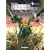 Terres lointaines, Tome 2 :
