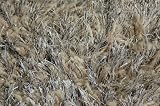 Loloi Boyd BO-01 Silver Wool/Polyester 8-Feet by 11-Feet Area Rug
