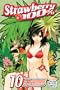 Strawberry 100%, Vol. 10