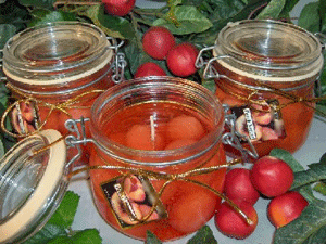 Peach Nectar Scented Glass Gel Preserve Jar Candle 16 Oz.