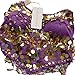 ZLTdream Belly Dance Top With Chest Pad bells &coins Purple, One Size