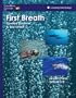 First Breath Spotted Dolphins and Sea Otters: Lessonplans Grades 3-5