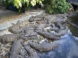 Mauritius Central (PHOTO ALBUMS)