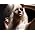 Vignette de Kerli