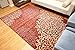Feraghan/New City Contemporary Modern Floral Flowers Wool Area Rug, 2' x 3', Cinnamon/Brown/Beige