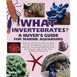 What Invertebrates?: A Buyer's Guide for Marine Aquariums (What Pet? Books) ~ Tristan Lougher
