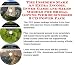 Book The Insider's Make An Extra Income, Inner Game and Sales Models for Bridal Gowns Web Businesses 3 CD Power Pack