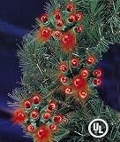 Review Everstar  / Set Of 100 Red Ultra Burst Cluster Mini Christmas Lights Green Wire #ES77-331
