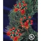 Set Of 100 Red Ultra Burst Cluster Mini Christmas Lights Green Wire ES77-331 by Everstar