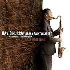 Sacred Ground by David Murray Black Saint Quartet
