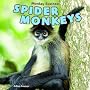 Spider Monkeys by Gillian Gosman