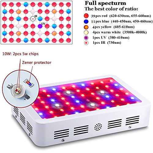 King Plus 600w 800w 1000w Double Chips Led Grow Light Full Specturm For Greenhouse And Indoor Plant Flowering Growing 10w Leds Glogro Grow Light Reviews