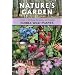 Nature's Garden: A Guide to Identifying, Harvesting, and Preparing Edible Wild Plants