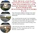The Quick and Easy Generate Extra Cash, Biz Networking and Sales Models for Car Loan Services Businesses 3 CD Combo Pack