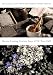 20th Century LIVE TOUR 2009 HONEY HONEY HONEY/We are Coming Century Boys LIVE Tour 2009 [DVD]