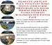 Book Massive Cash Flow Pack with Earn More Money, Godfather Principles and Sales Models for SCUBA Tanks Internet Businesses 3 CD Power Pack